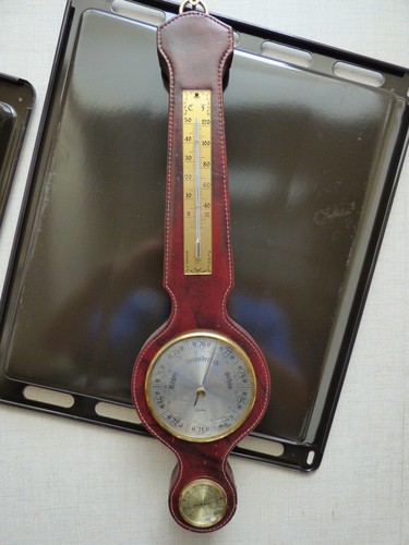 Wetterinstrument thermometer - wetterinstrument,